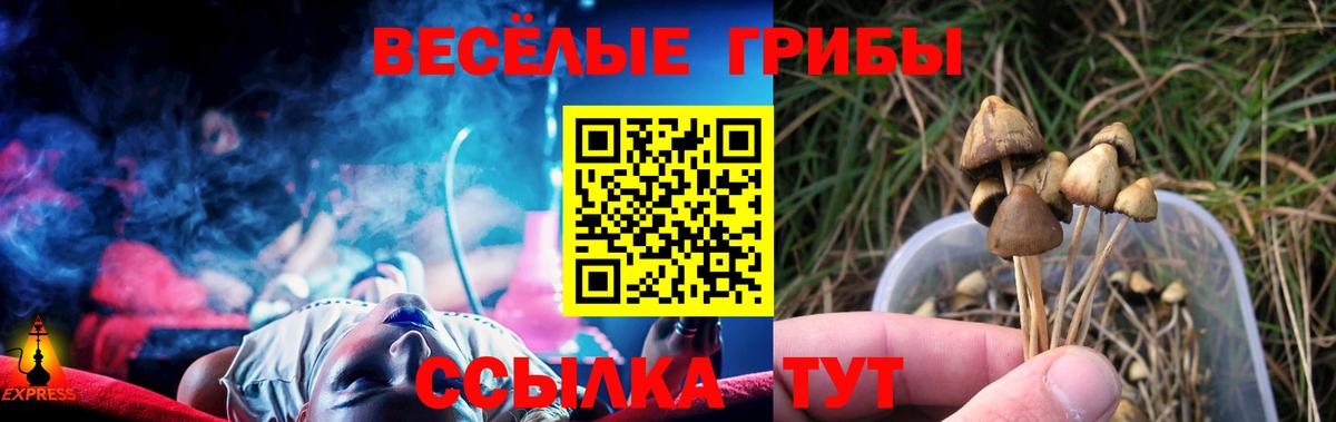 Псилоцибиновые грибы MAGIC MUSHROOMS Майский